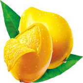 Fresh Ripe Mango